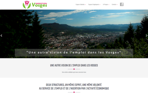Insertion Vosges